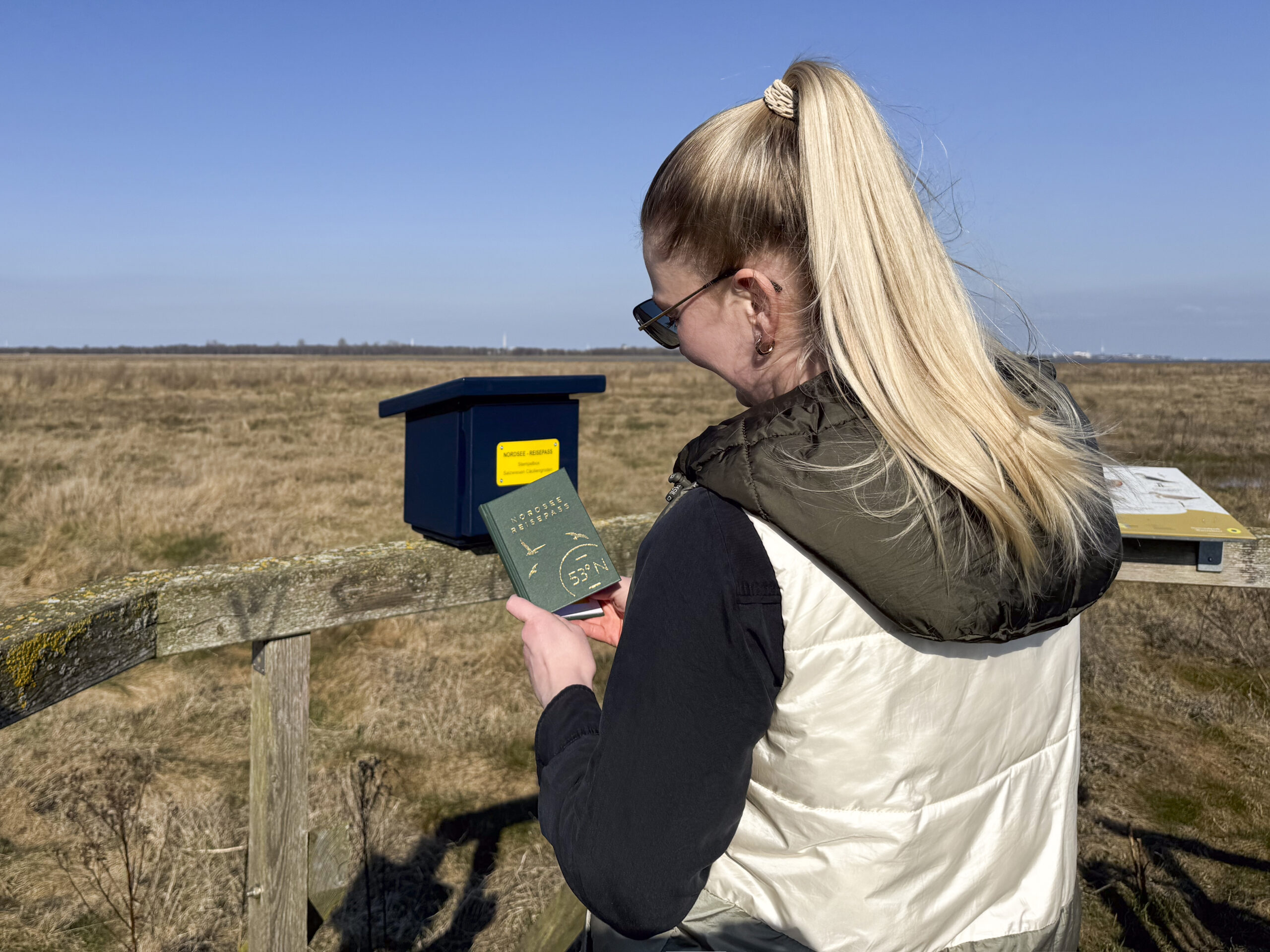 Stempelbox Cäciliengroden